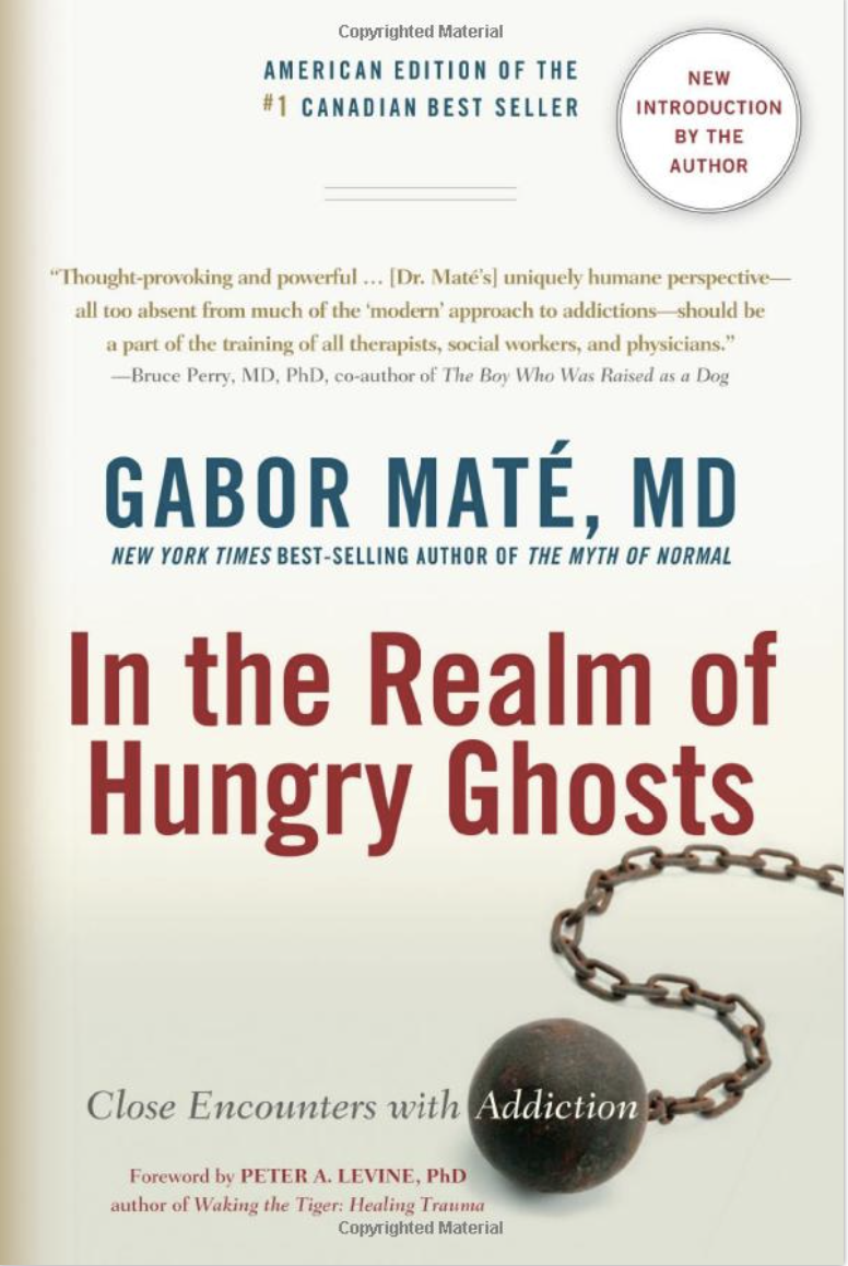 book-resource-in-the-realm-of-hungry-ghosts